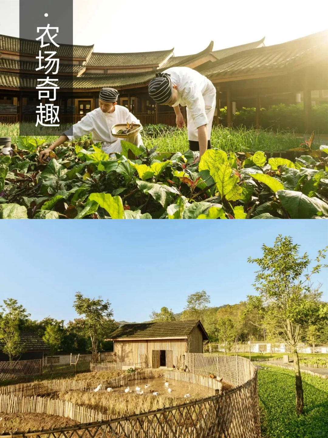 小众❗成都定制4日 | 住青城山顶奢六善🏨