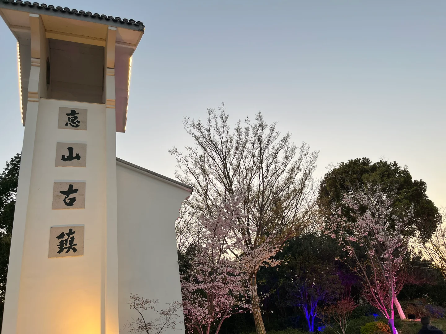 浪漫古镇樱花🌸🌸