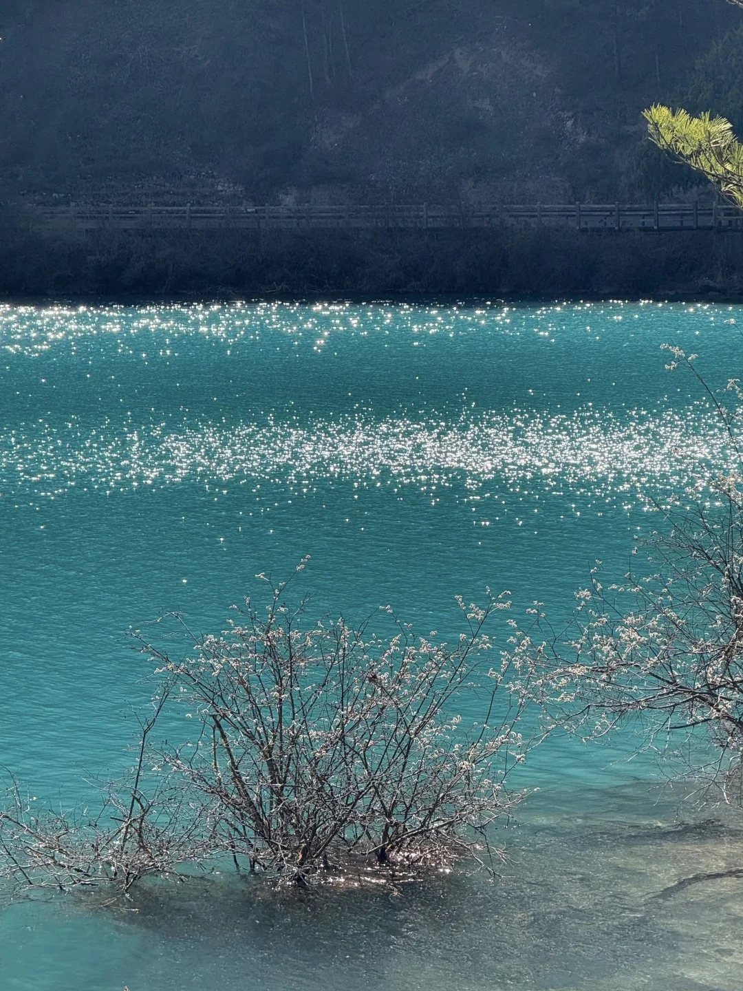 3.25📍九寨沟真实现状😭淡季人也不少啊