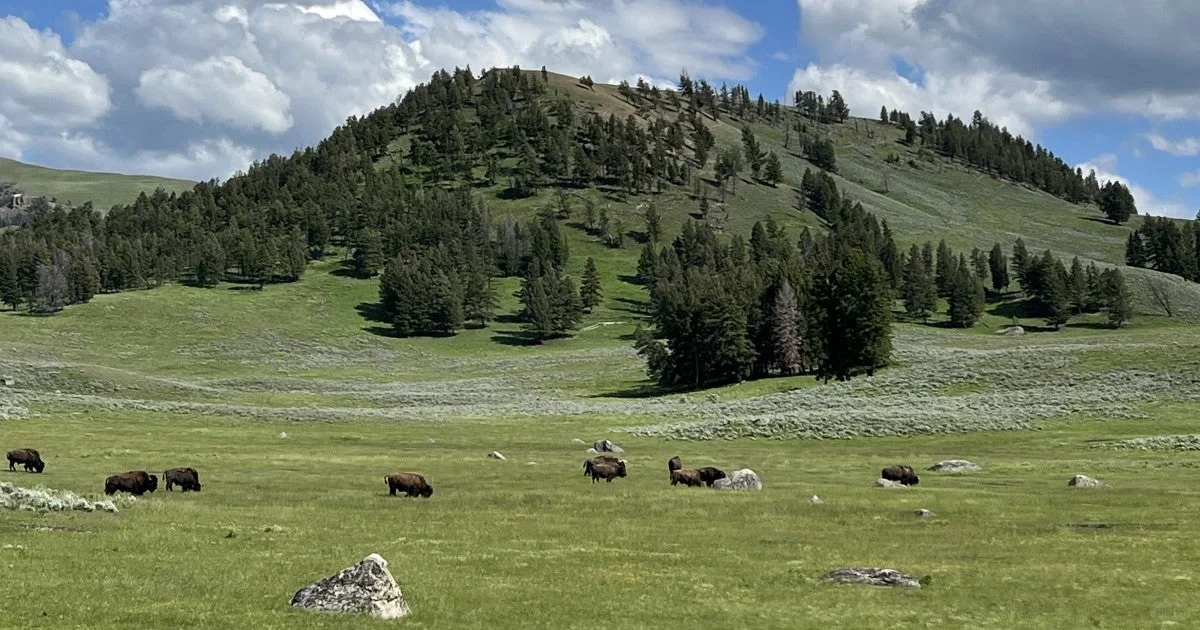 北美的景点流水线, 去或不去都冤的慌。