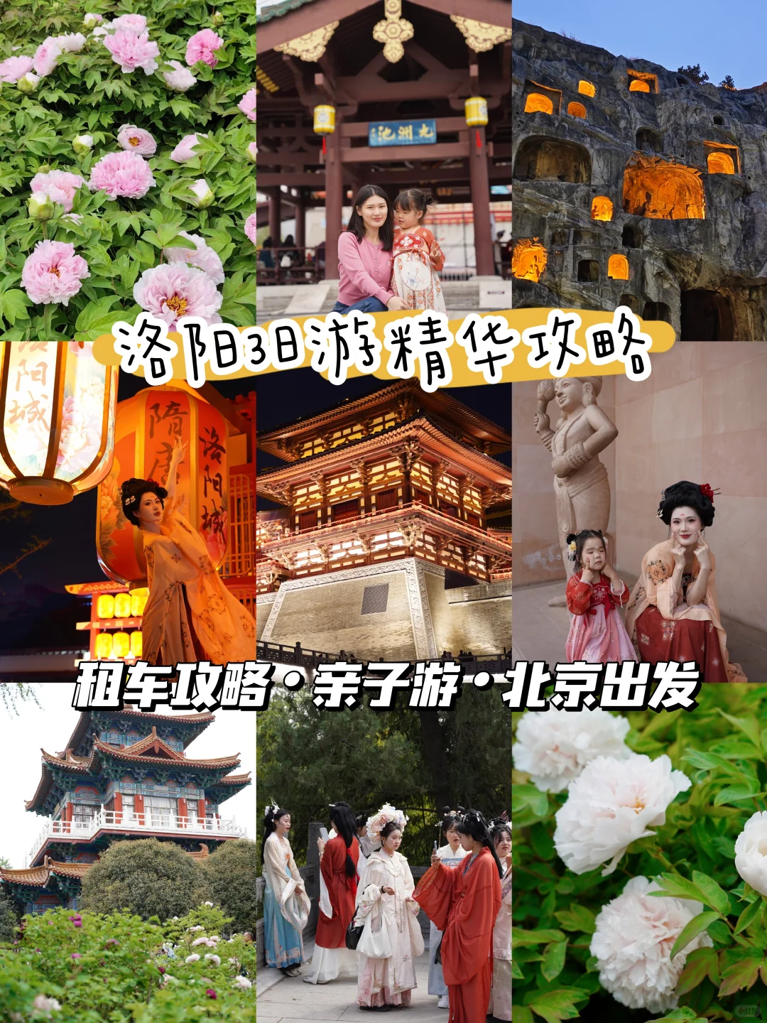 清明带娃去洛阳！3日游攻略直接抄作业