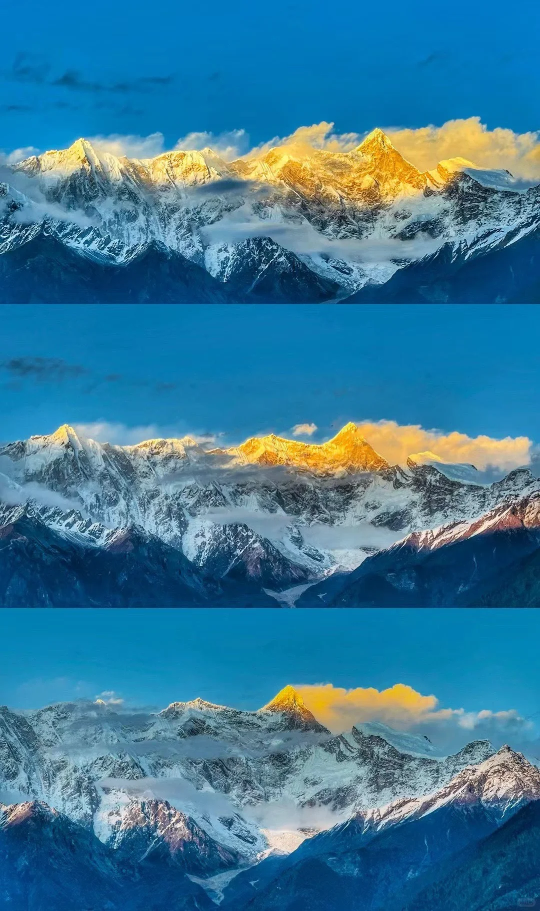 林芝索松村｜赴一场雪山下的桃花盛宴