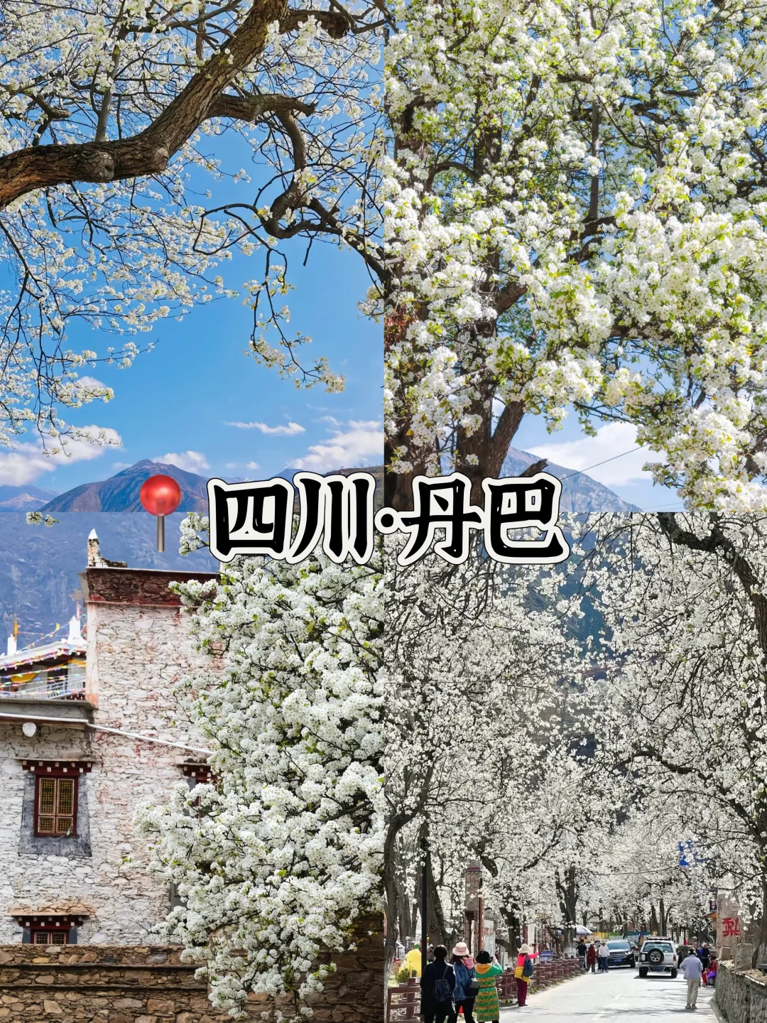 接下来的3-4月是这样的🌸(赏花好去处攻略)