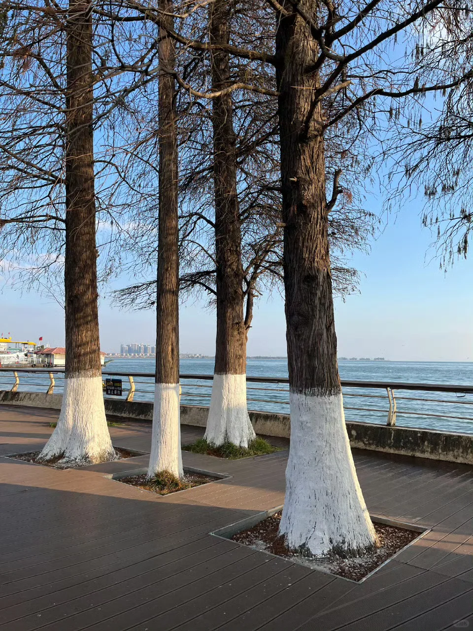 云南旅游现状,近期去的姐妹不要被XHS骗了