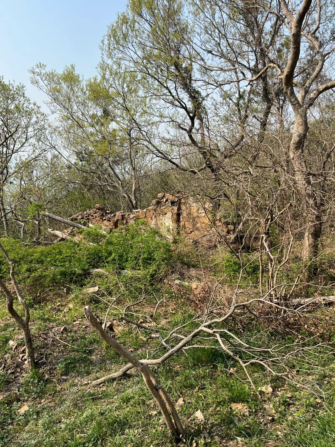🚄上海周中徒步｜苏州莫厘峰小环线吸氧记