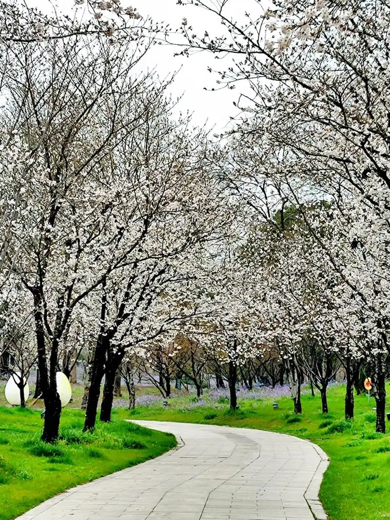 4月旅行天花板攻略一：这8个小众地必去