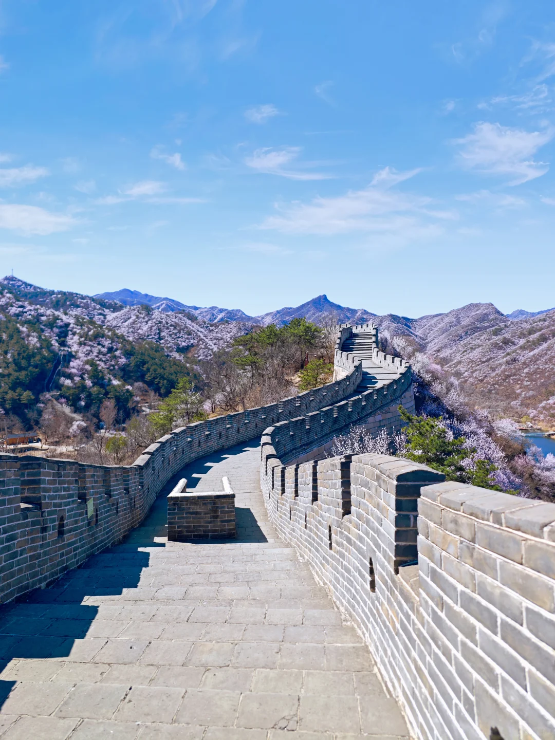 3.24实拍丨在北京我找到了林芝的平替