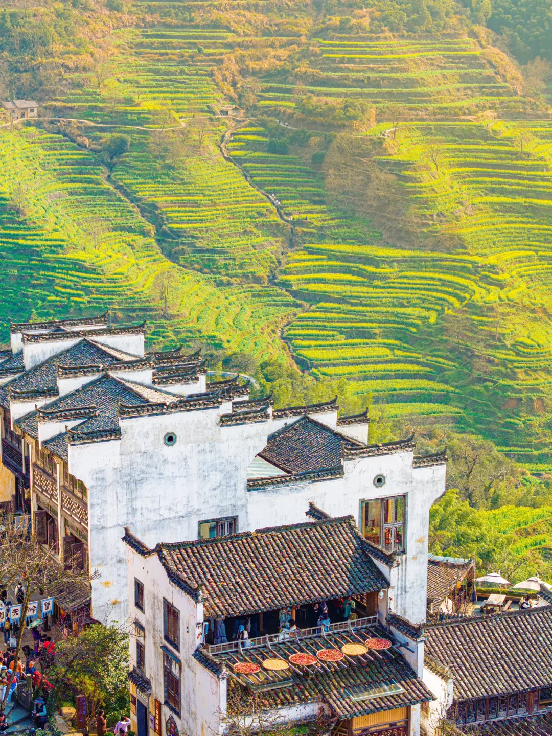 和城市绝交的2天！一起走进最美古村的春天