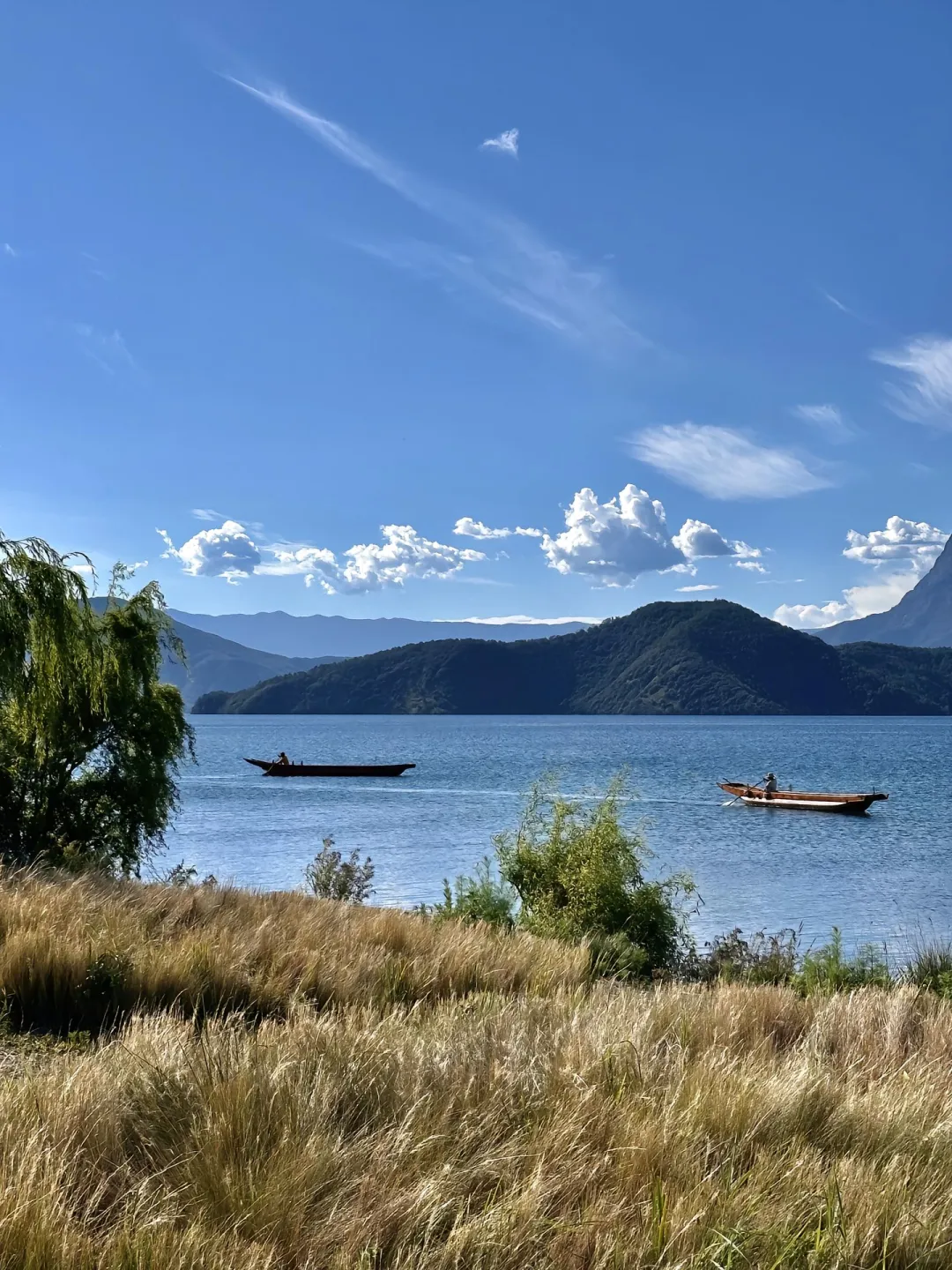 云南旅游现状,近期去的姐妹不要被XHS骗了