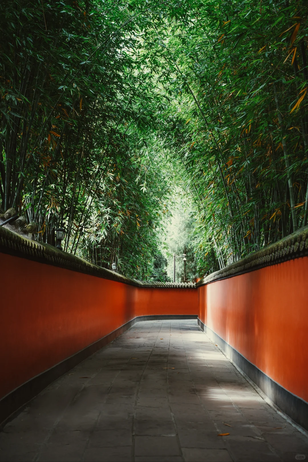 成都5天4夜深度游｜本地人私藏玩法！