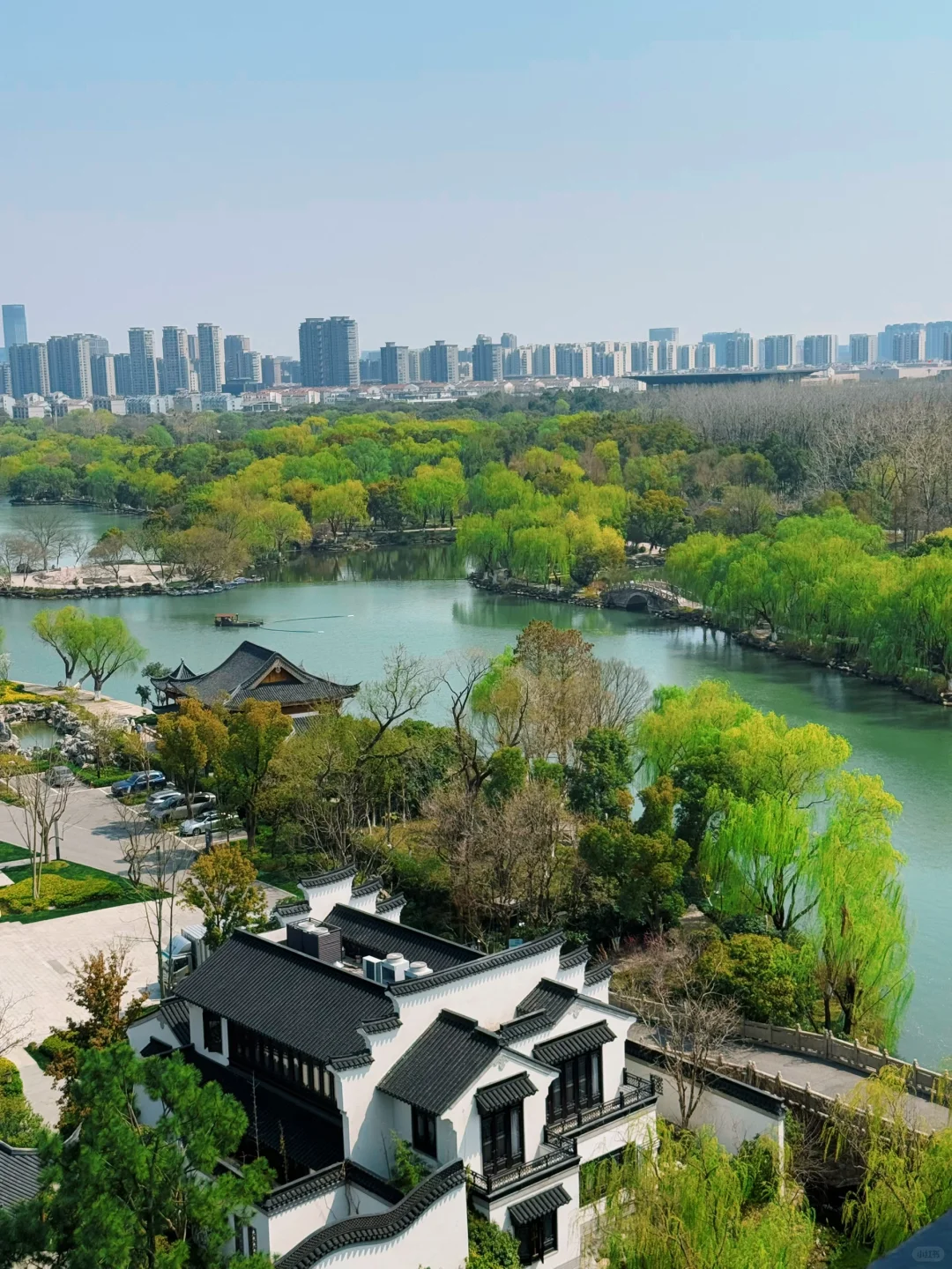 踏青赏花，上海周边人少景美的诗意画卷