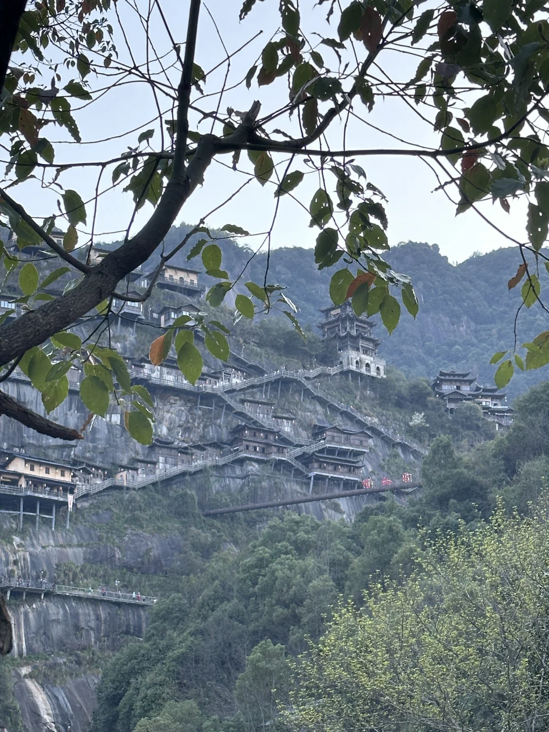 一去一个不吱声