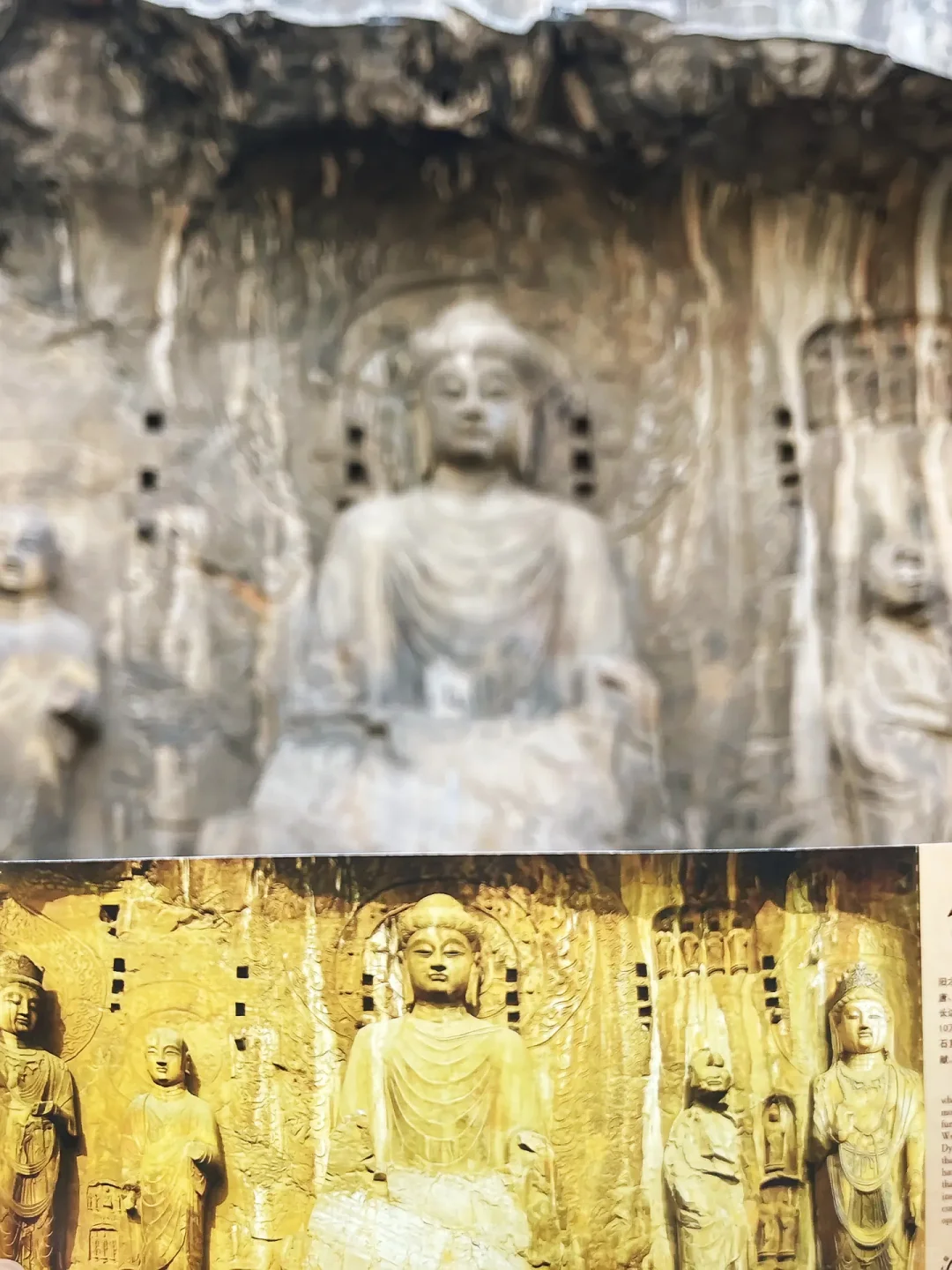 讲真的🙏4-6月没做好攻略千万别去龙门石