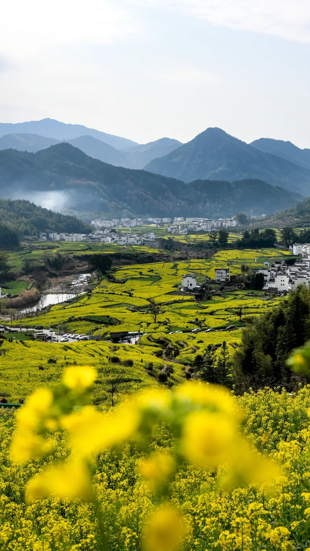 江岭溜腿的仨小时🫴🏻