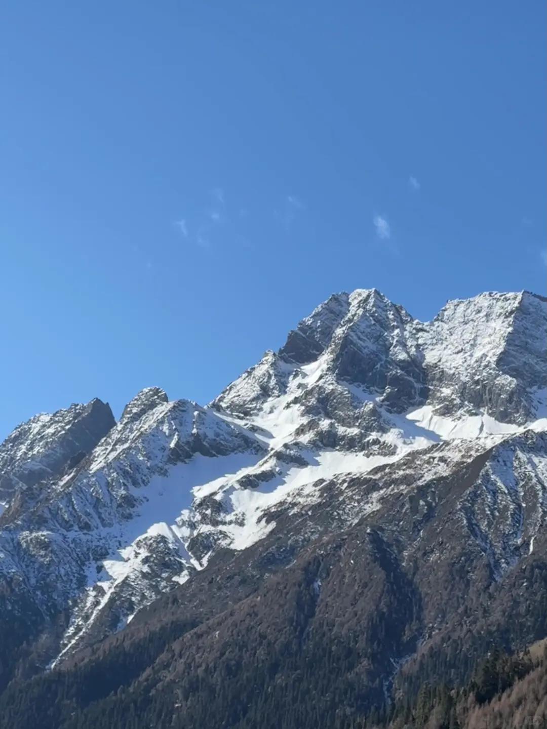 川西受罪已回,我的建议是。。。