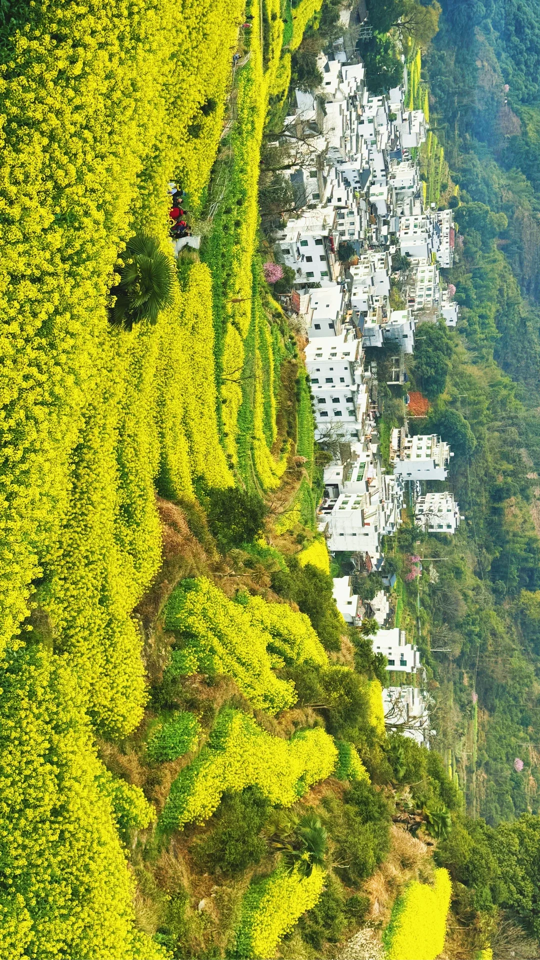 江岭溜腿的仨小时🫴🏻