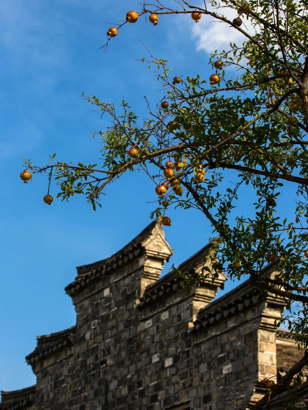 浙江宁波镇海区2日自驾游秘籍
