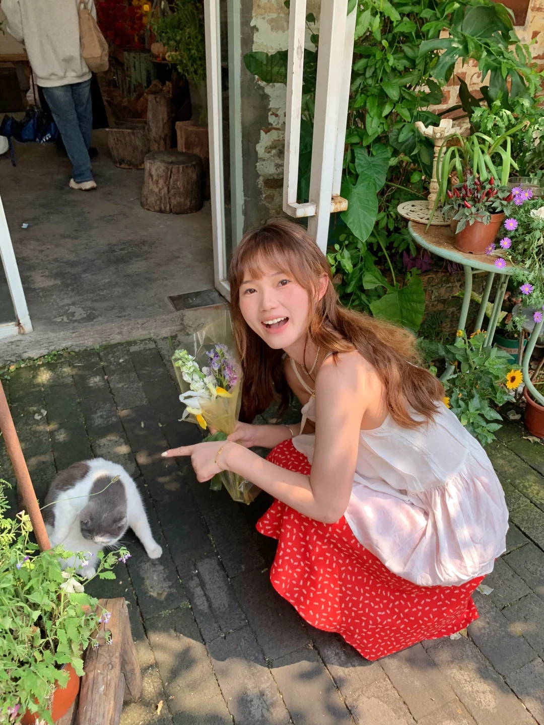 🐈.𓈒𓂂𓈒𓍼💐广州有小猫的花院太浪漫啦！