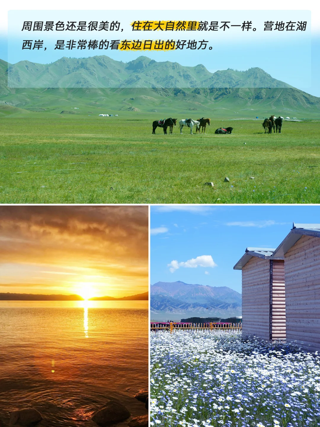 赛里木湖攻略|自驾🚗二日已回,说点实话