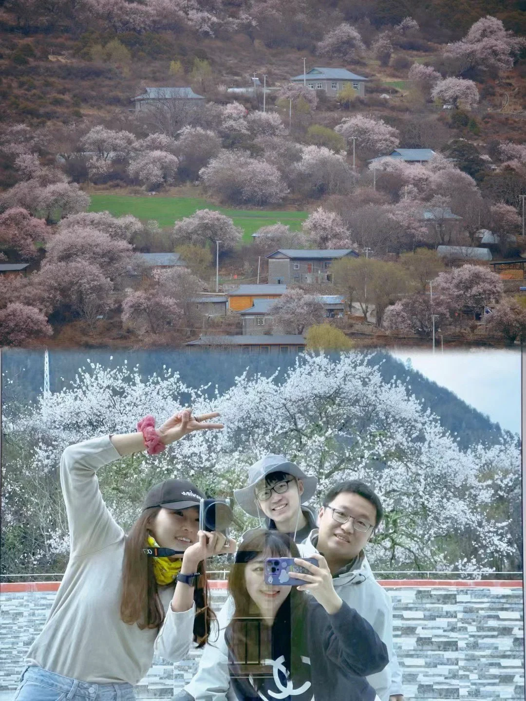 林芝索松村｜赴一场雪山下的桃花盛宴