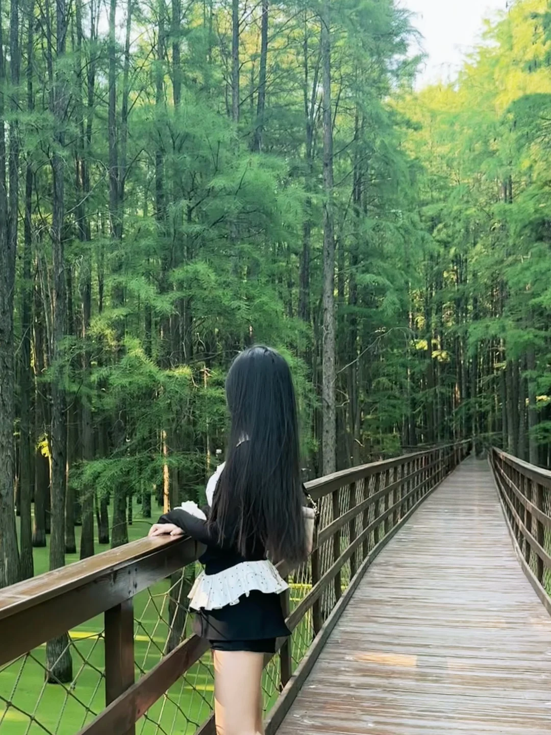 杭州青山湖🌳绝美!!!随手一拍就是大片!📸