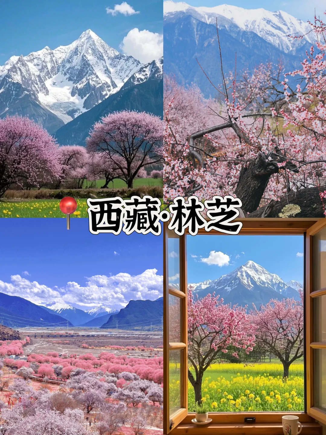 接下来的3-4月是这样的🌸(赏花好去处攻略)