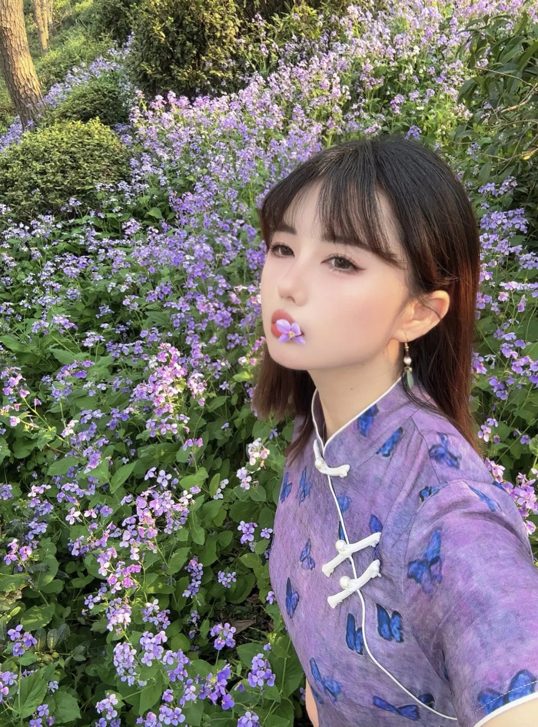 今年万事“紫”定赢🦋💜🦋💜🦋