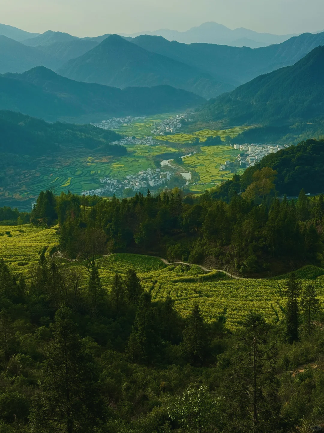 江岭溜腿的仨小时🫴🏻