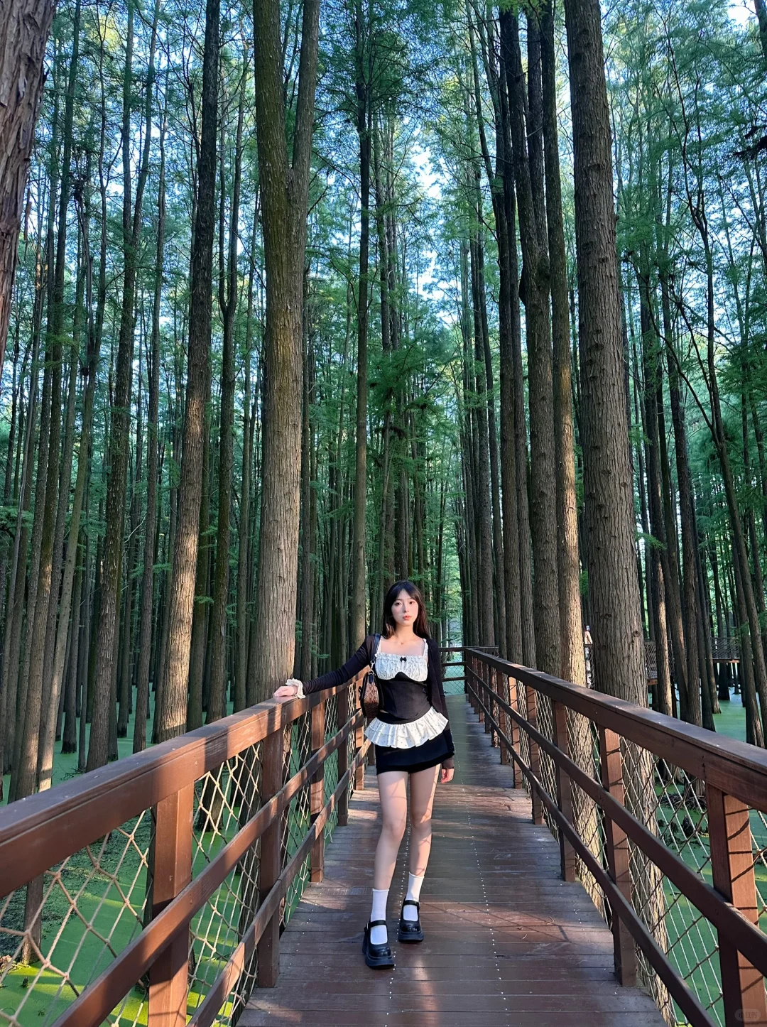 杭州青山湖🌳绝美!!!随手一拍就是大片!📸