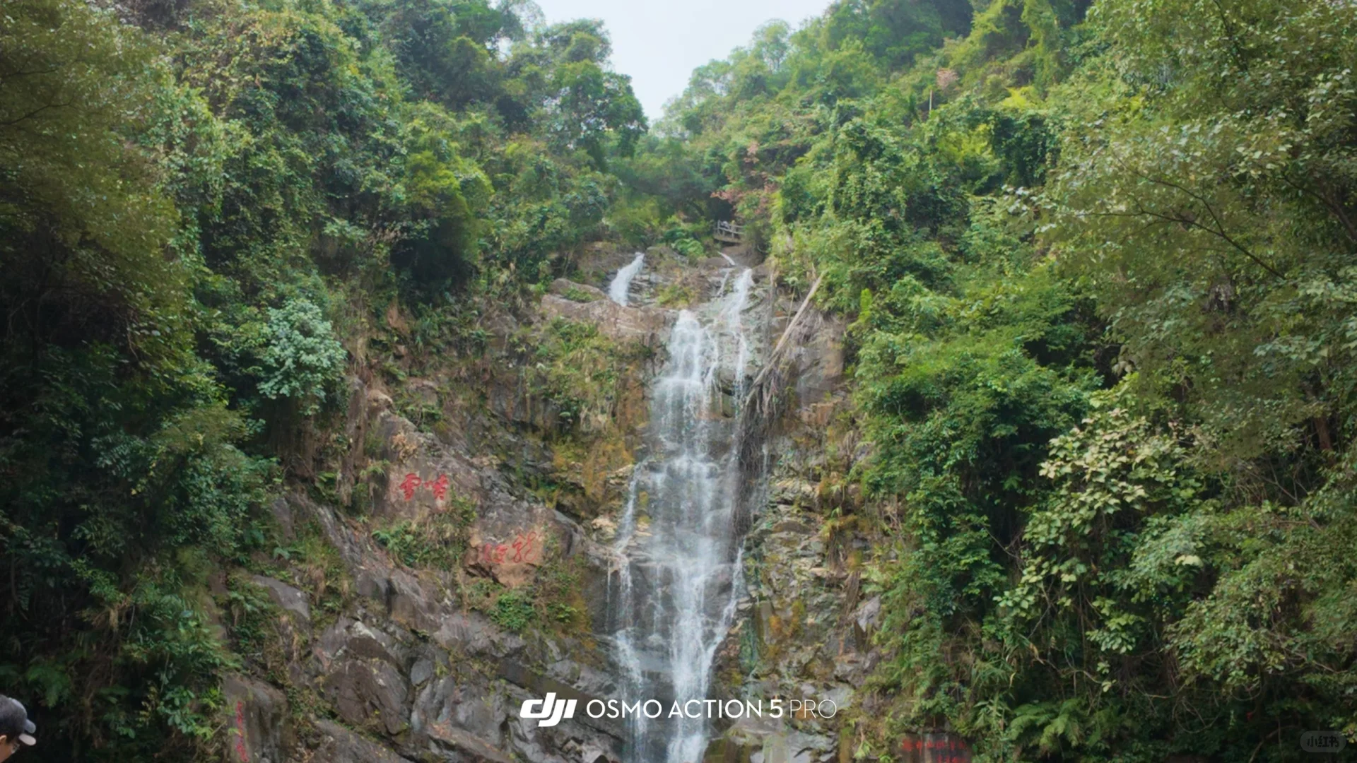 【读研日记】周末出游肇庆