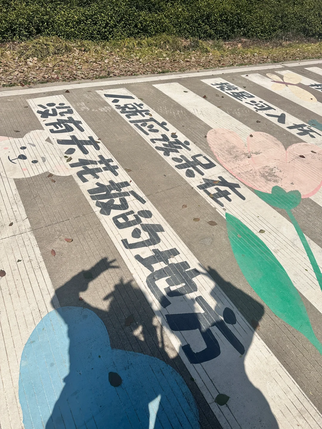 趁现在❗️来海盐丰义看油菜花吧~