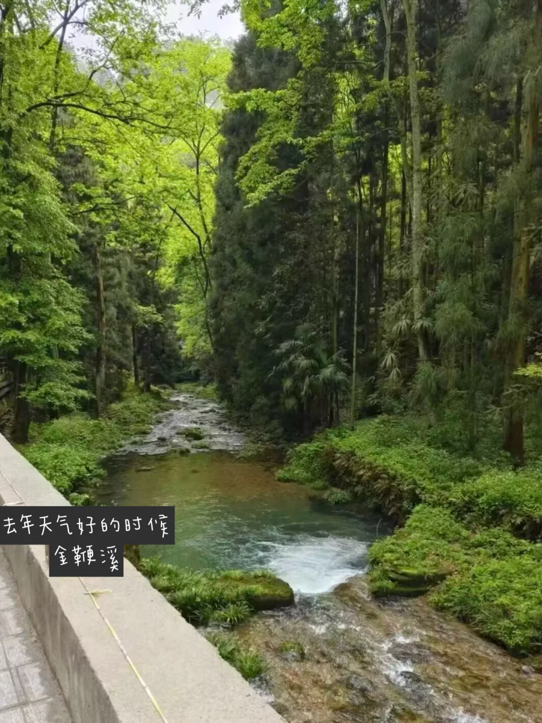 02年女大|春游计划之出游攻略