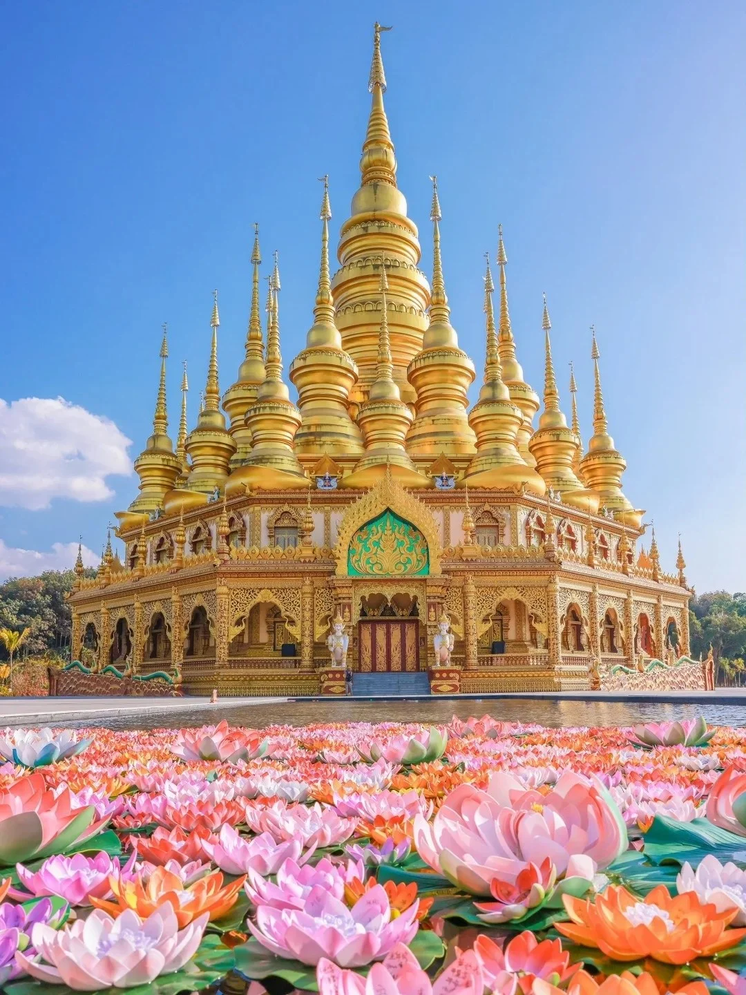 西双版纳必去 9 大景点👍