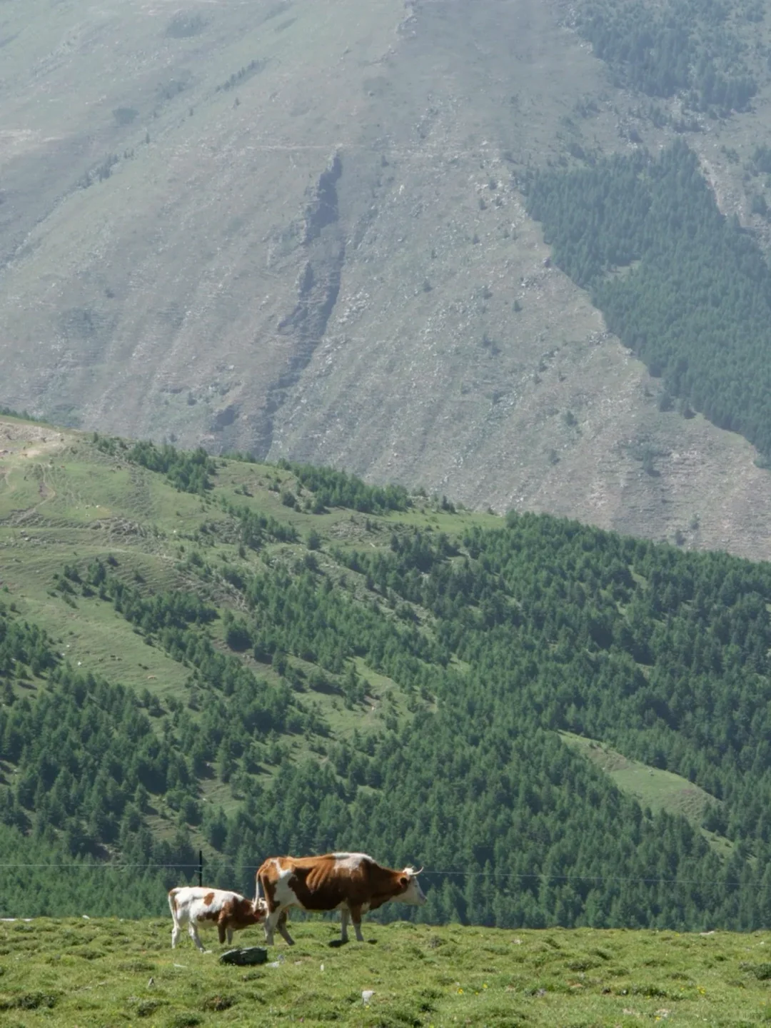 山西拍了拍你,邀请你来上春“山”⛰️