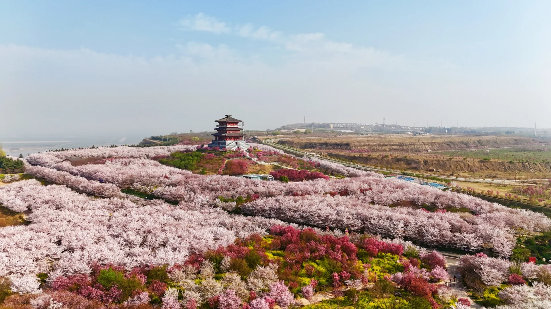 郑州赏花第5期：丰乐樱花园赏樱花攻略
