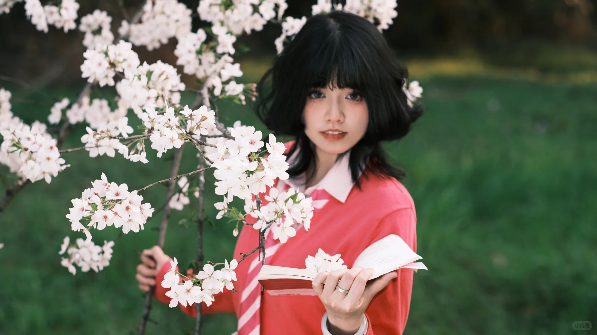 避雷鼋头渚这个摄影师，在景区随便找的