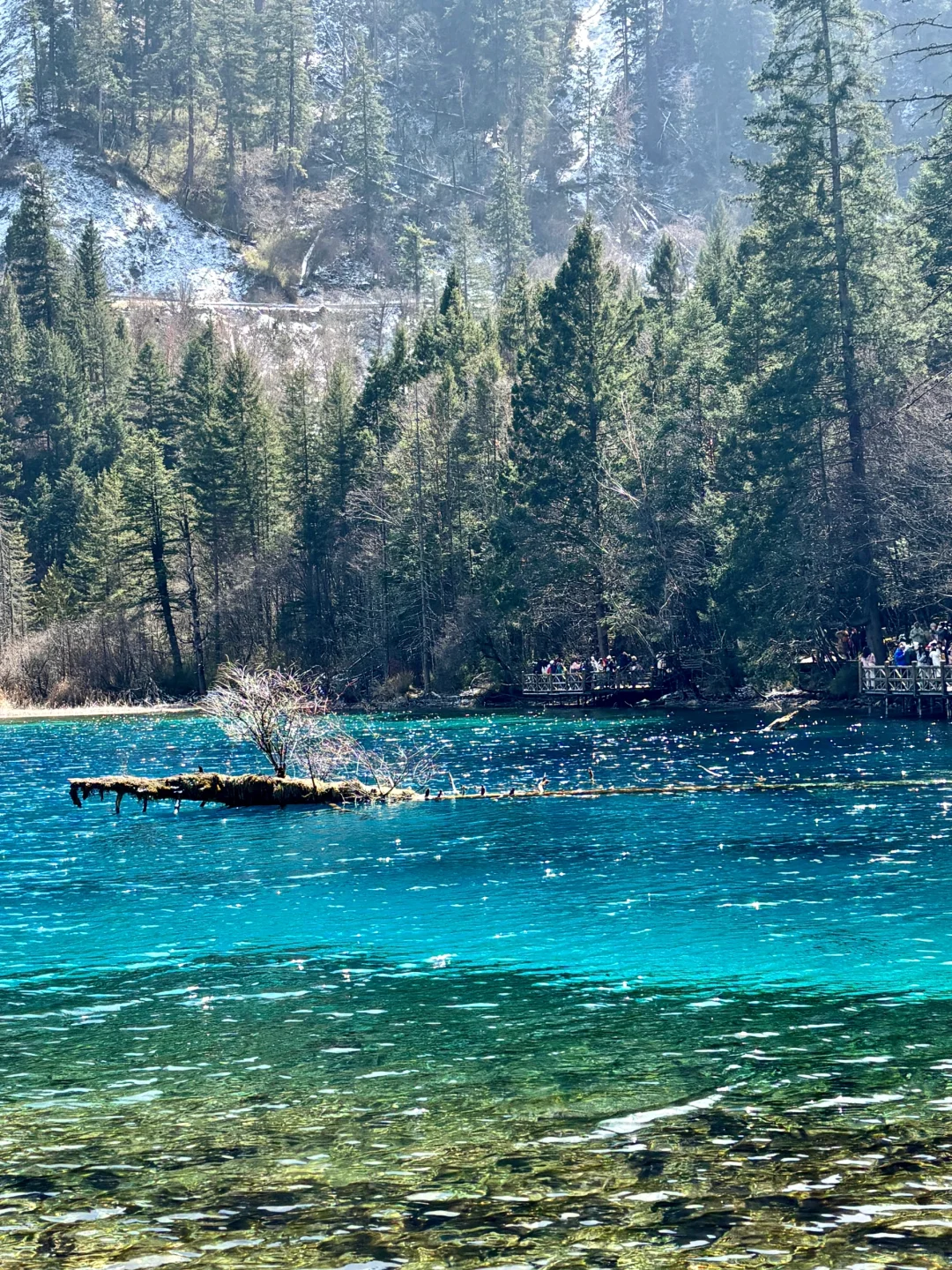 3.8📍我宣布‼这才是九寨沟最美的时刻‼