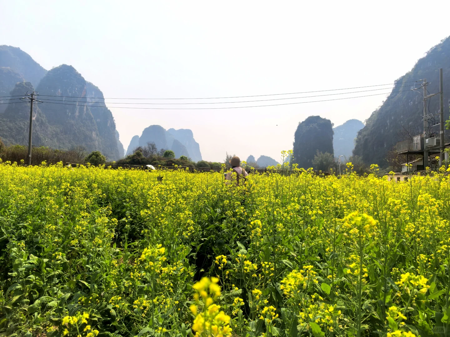 #桂林#阳朔#桂林阳朔竹筏怎么坐#桂林两日游