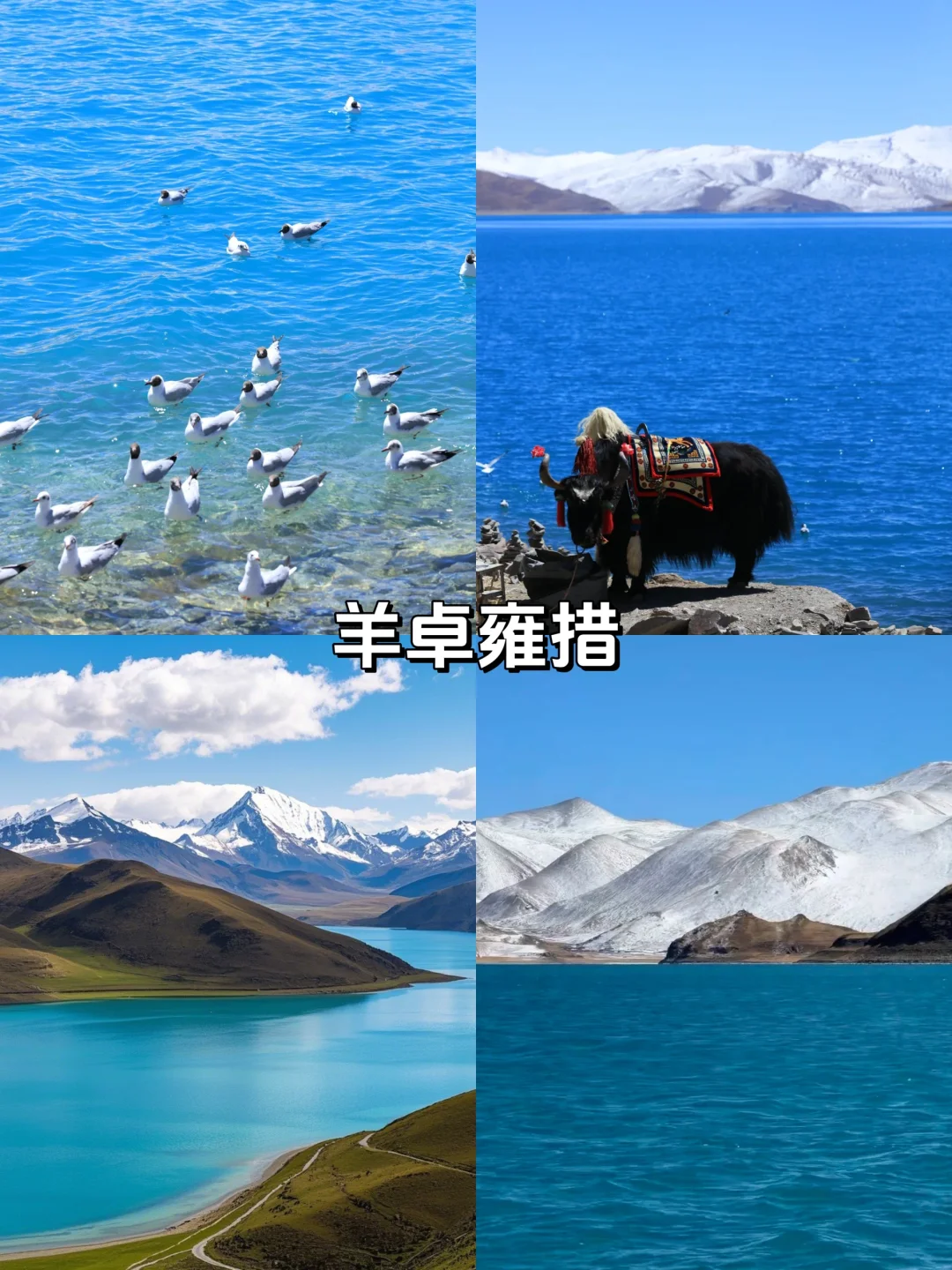 西藏 7 天 6 晚游🌈人均仅花💰4K+
