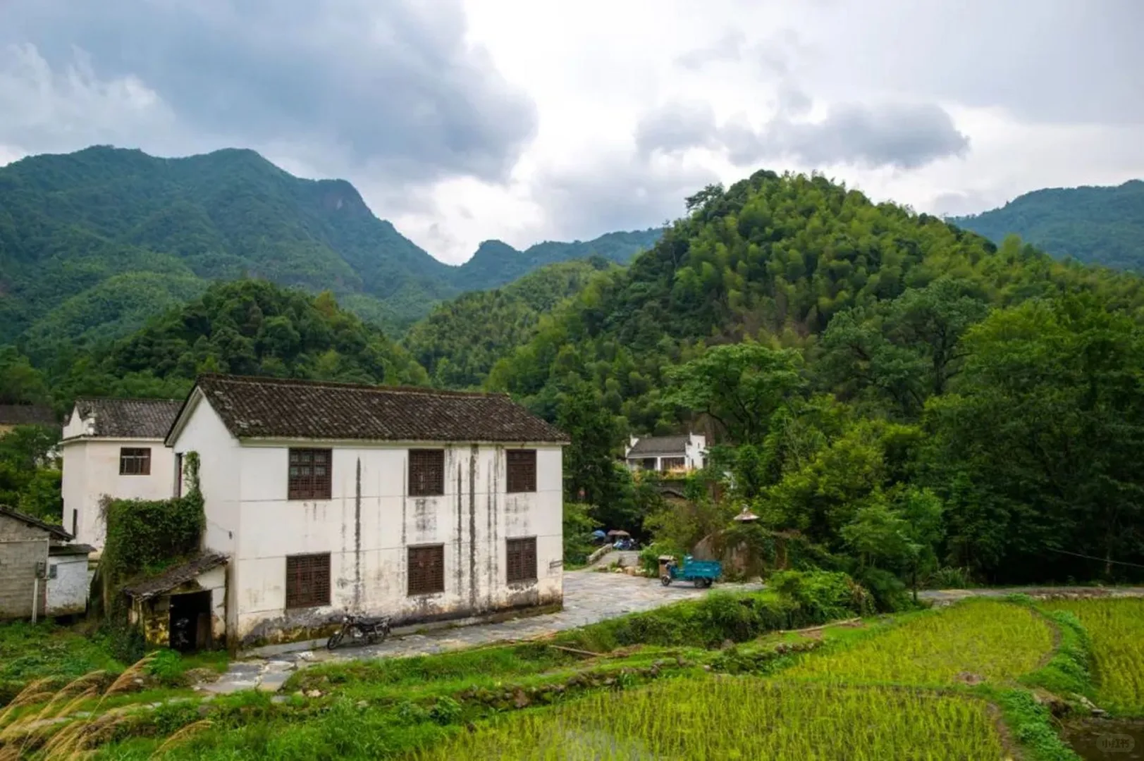 这里藏着人间的四月天🌸-石台