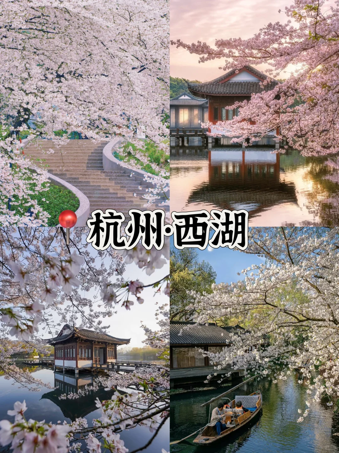 接下来的3-4月是这样的🌸(赏花好去处攻略)
