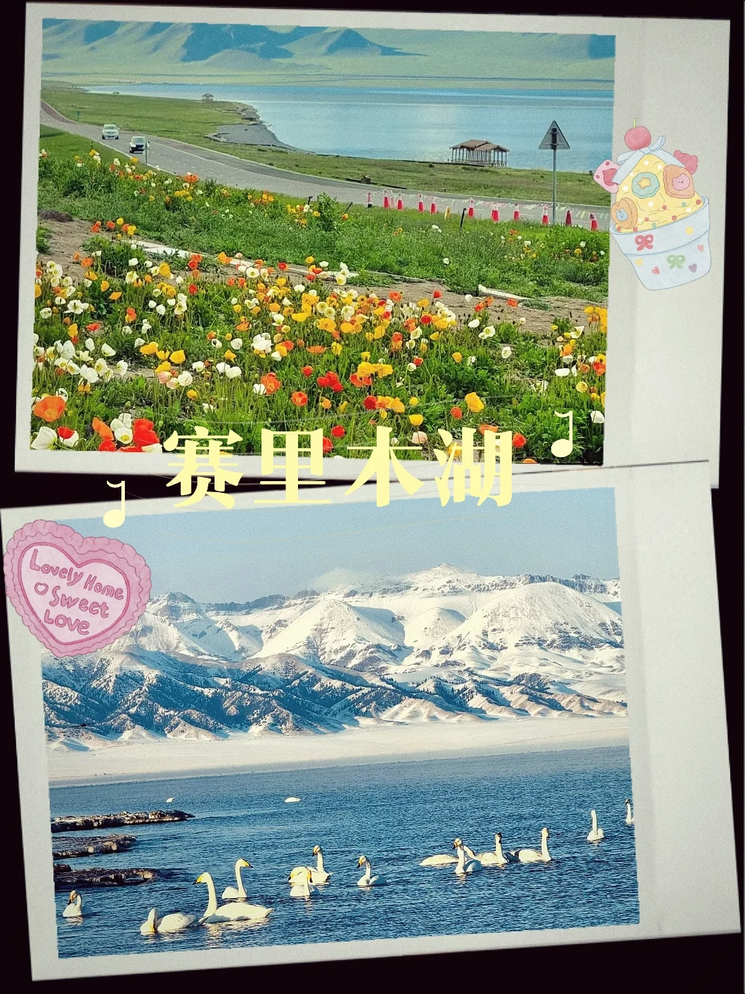 新疆初春已至❄️ 这份攻略千万别搞反顺序