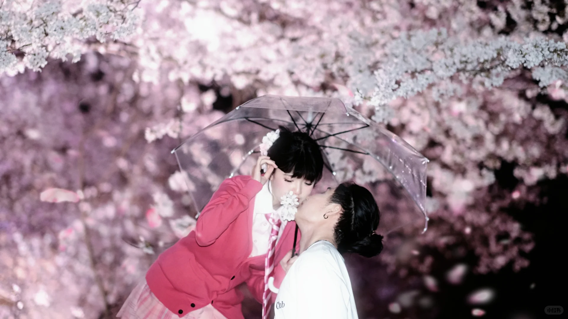 避雷鼋头渚这个摄影师，在景区随便找的