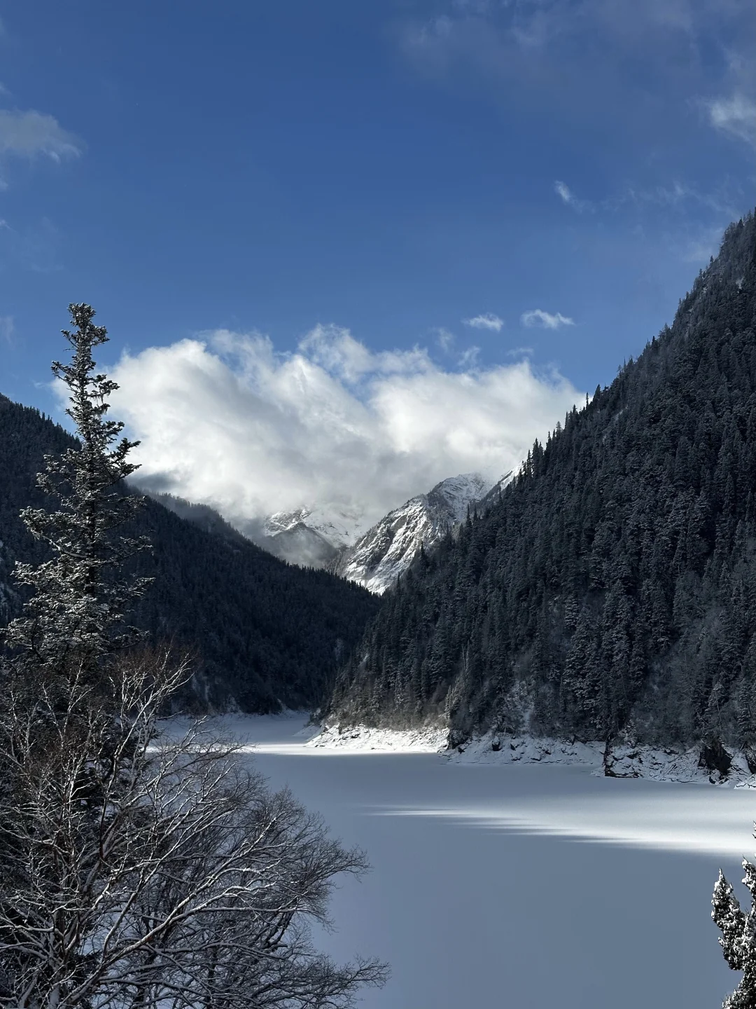 3.25📍九寨沟真实现状😭淡季人也不少啊