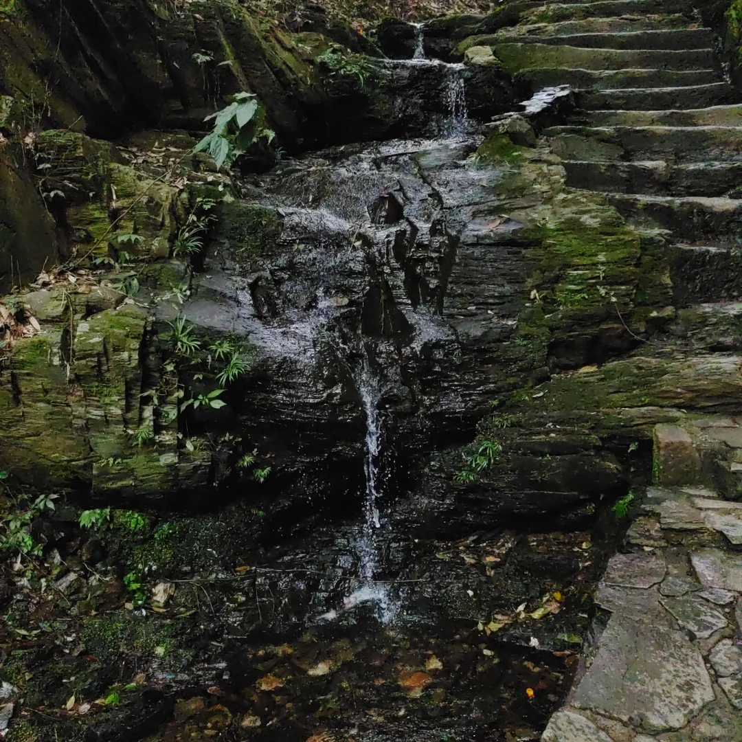 📍桃花源出行攻略