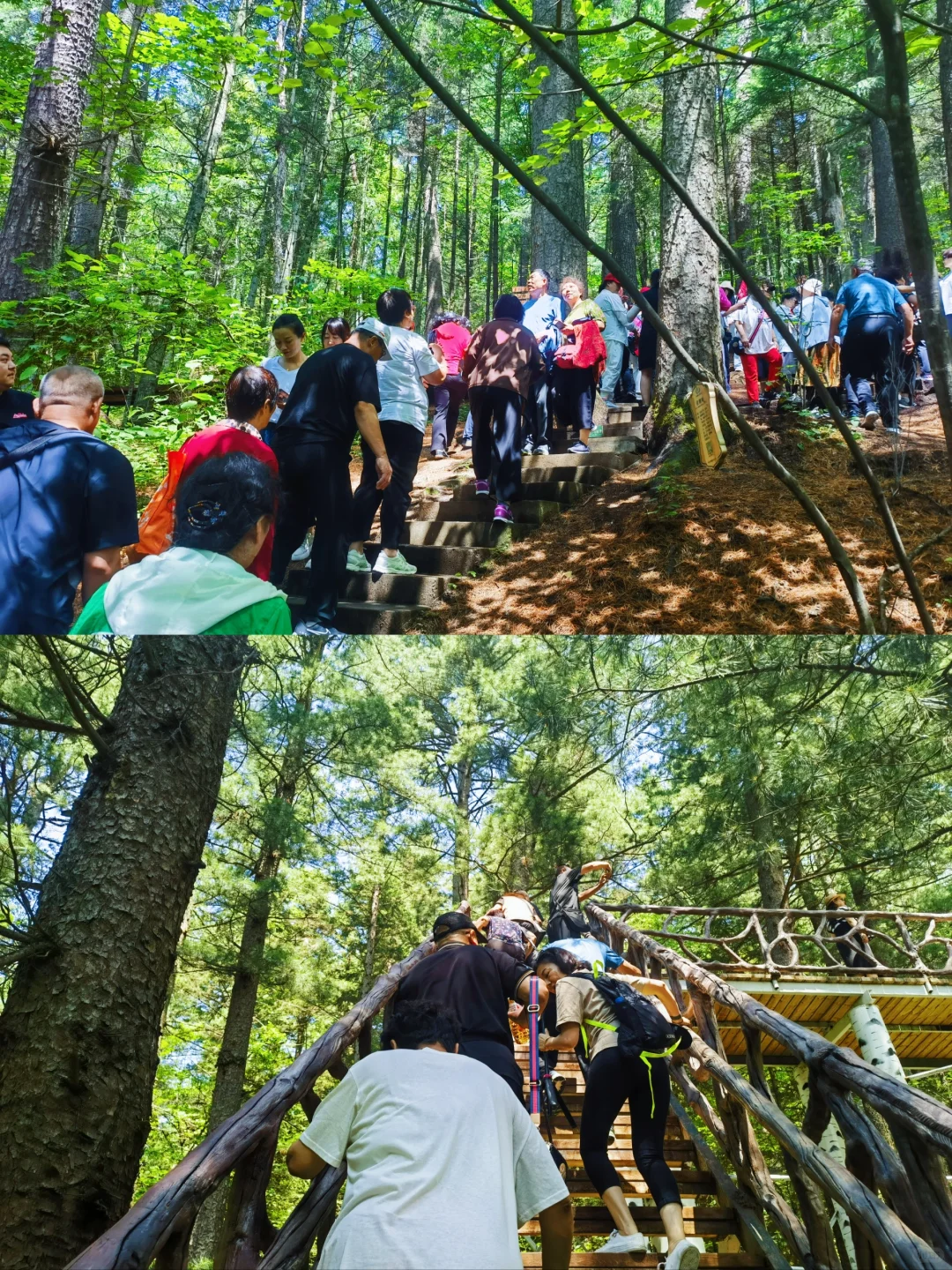 伊春最值得游玩的十个景区‖收藏备用