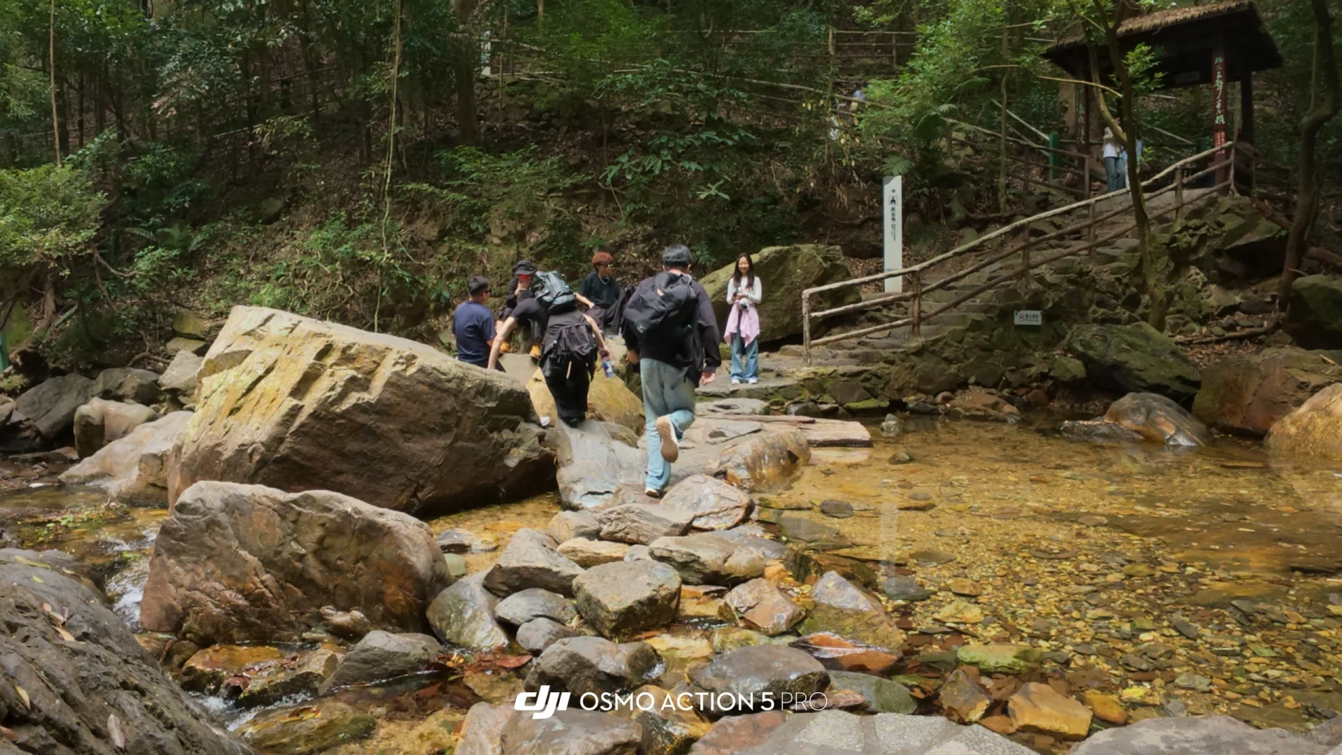 【读研日记】周末出游肇庆