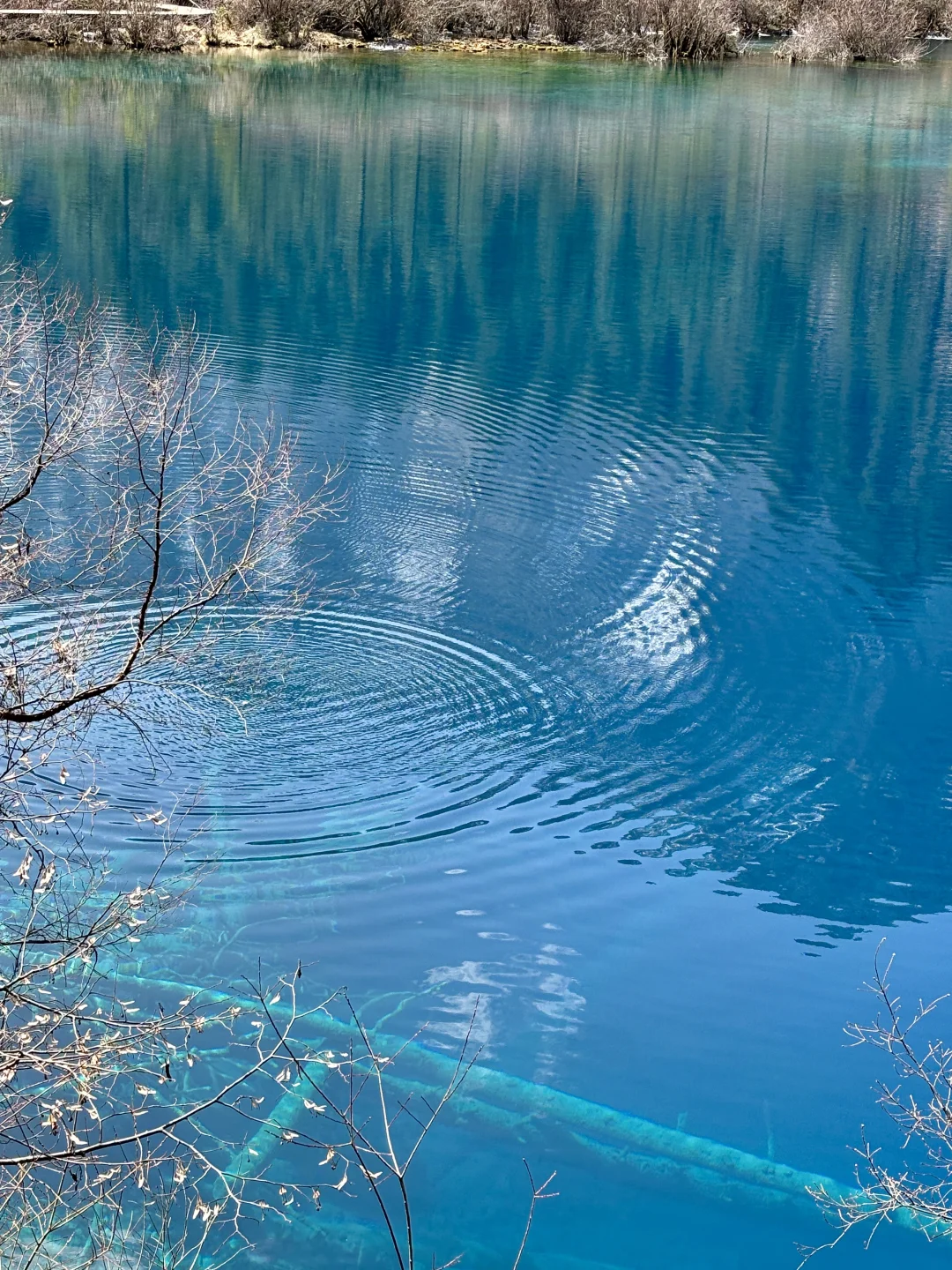 3.8📍我宣布‼这才是九寨沟最美的时刻‼