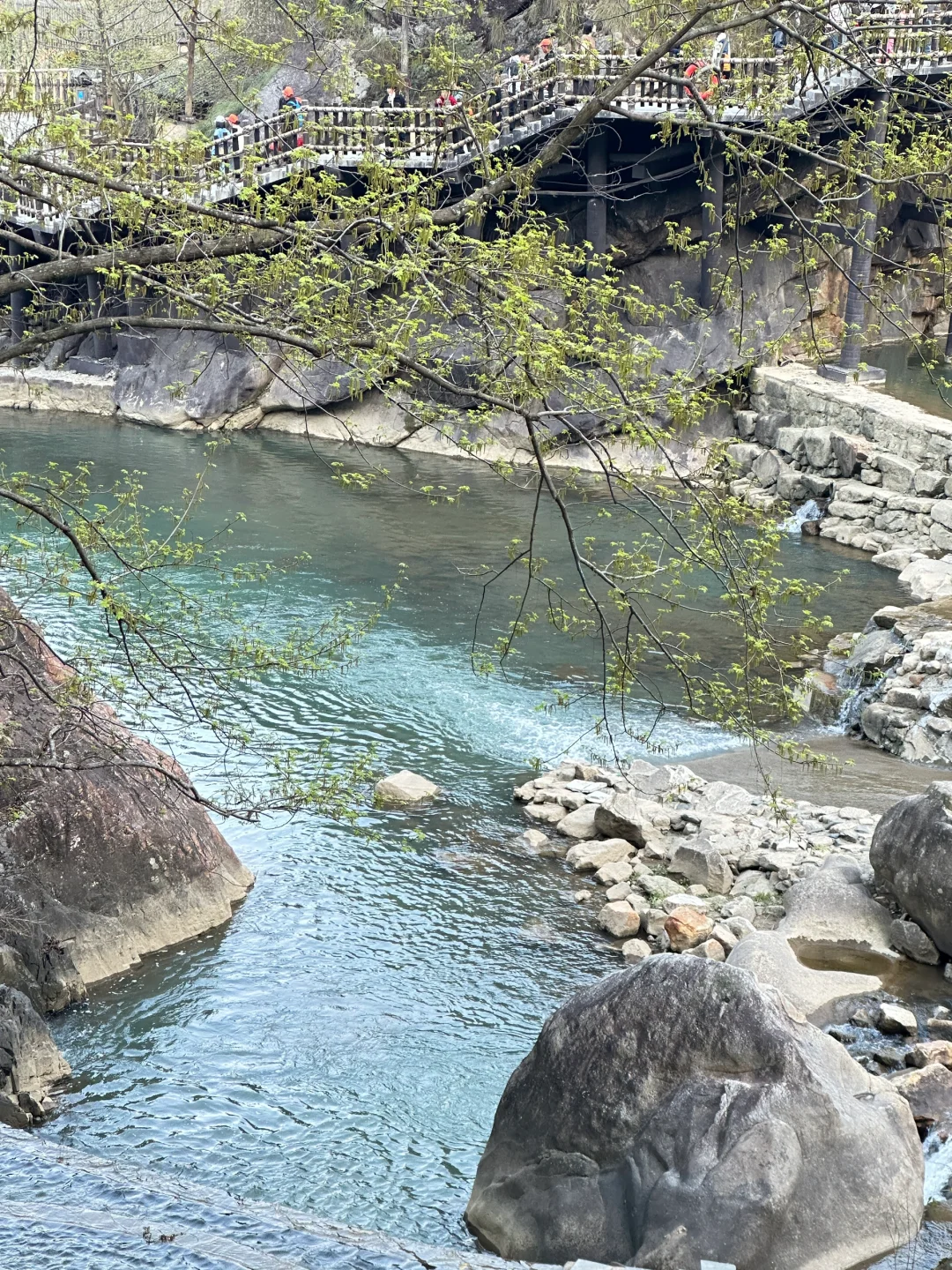 一去一个不吱声