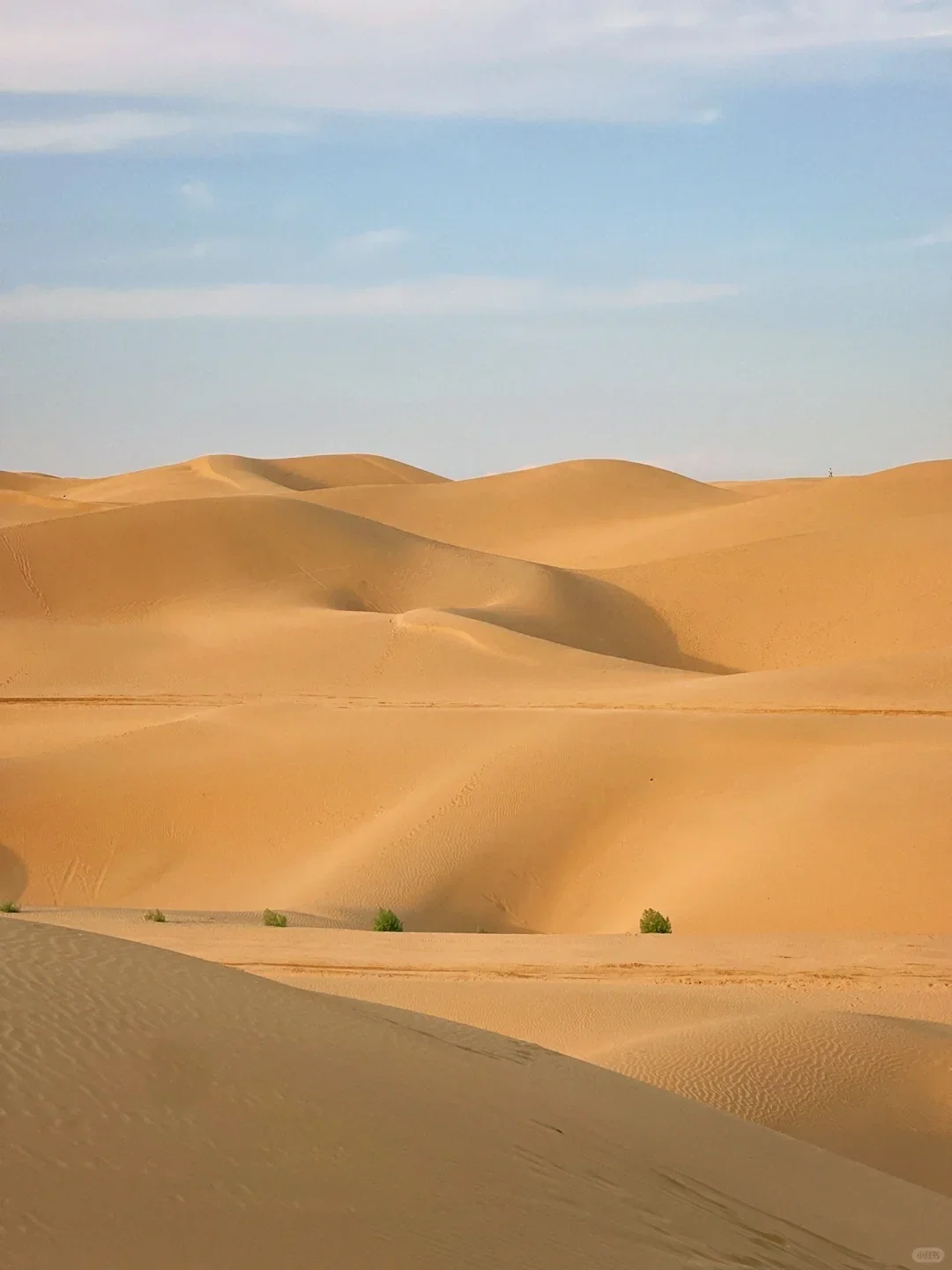 人生建议：6-8 月有空一定得去内蒙古‼️